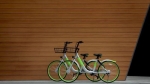 u-bicycle.jpg