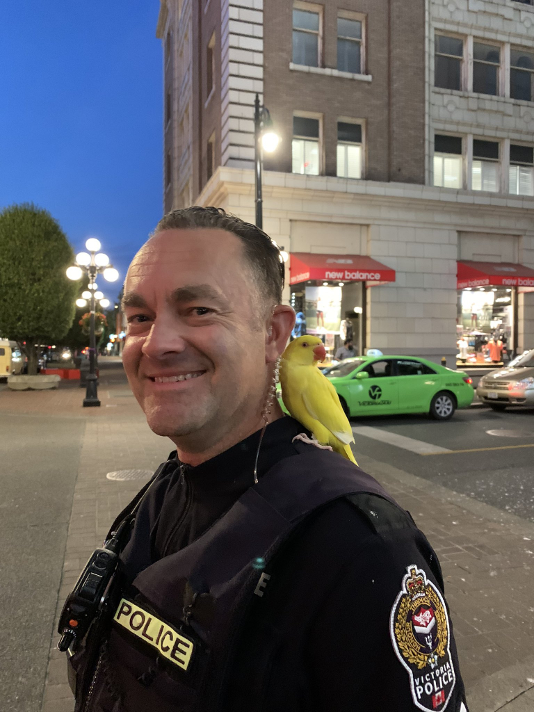 A photograph of VicPD Sgt. Jeremy Preston with the yellow bird pearched on his shoulder
